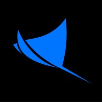 VAS Experts Logo