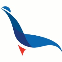 ADR Dental Logo