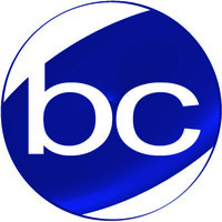 Bluechip Consultant Services Co., Ltd Logo