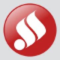 Digisoft Services Logo