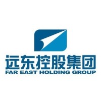 远东控股集团 Far East Holding Group Logo
