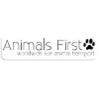 Animals First Logo