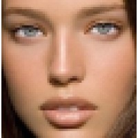 Three Custom Color Specialists Logo