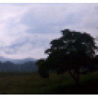 Smoky Mountain Marketing Logo