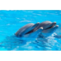 Oceanesoft Logo