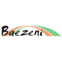 Baezeni Company Network Logo