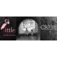 Canadian Surrogacy Options and Little Miracles Logo