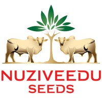 NUZIVEEDU SEEDS LIMITED Logo