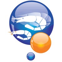 Visual Foods Limited Logo