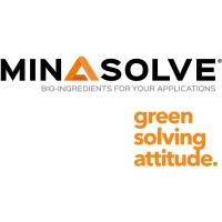 Minasolve Logo
