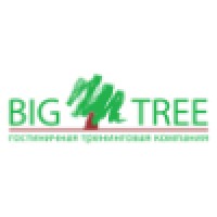 Big Tree - Customer Experience & Service Design Logo