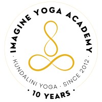 Imagine Academy Logo