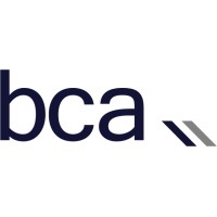 BaseCap Analytics Inc. Logo