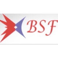 BS PROJECTS PVT. LIMITED Logo