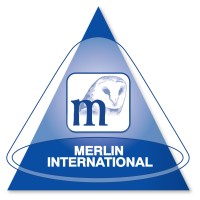 Merlin International Projects Logo