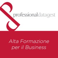 Professional Datagest Logo