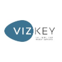 VizKey Software Logo