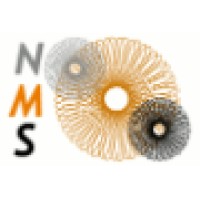 NicheMarketServices Logo