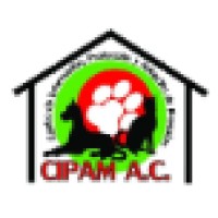 CIPAM,A.C. Logo