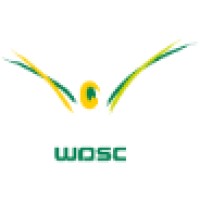 Wycombe District Swimming Club Logo