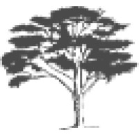Kikenni Consulting Ltd. Logo