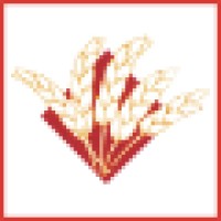 WM Lillico & Son Limited Logo