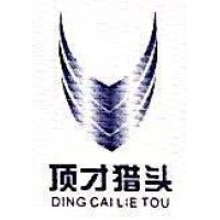 深圳市顶才猎头有限公司 Logo