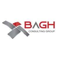 Bagh Consulting Group Logo