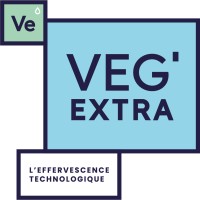 VEGEXTRA Logo