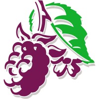 Blackberry Clinic Logo