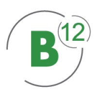 B12 Consulting Logo