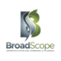 Broad Scope Management Consulting Logo