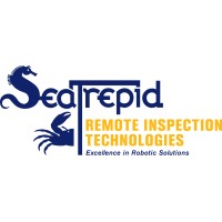 Remote Inspection Technologies LLC Logo