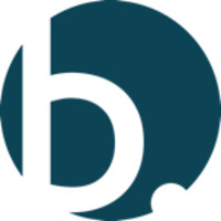 Brightstone Technology Group Logo
