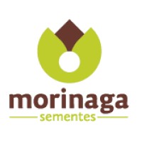 Morinaga Sementes Logo