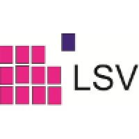 LSV Assessoria e Consultoria LTDA Logo