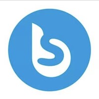 Brandsynario Logo