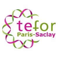 TEFOR Paris-Saclay Logo
