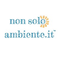 Nonsoloambiente.it Logo