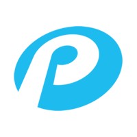 Plane Perspective Logo