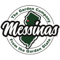 MESSINAS Logo