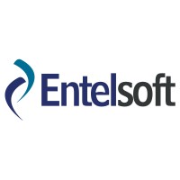 Entelsoft Logo