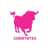 CONSYSTEX PTY LTD Logo