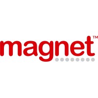 Magnet Insurance Services Ltd Logo