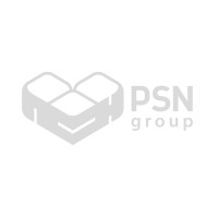 PSN Group Logo