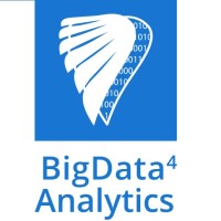 BigData4Analytics, Management Consultants in AI & Big Data Logo