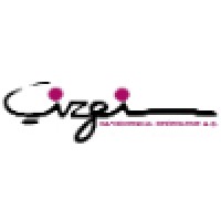 Çizgi Gayrimenkul Değerleme A.Ş. Logo