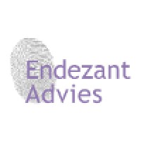 Endezant Advies Logo