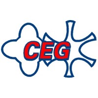 Compressor Engineering Group Inc. Logo
