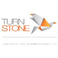 Turnstone Auditing and Research Logo